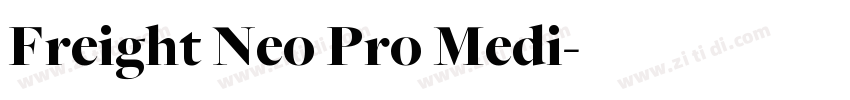 Freight Neo Pro Medi字体转换